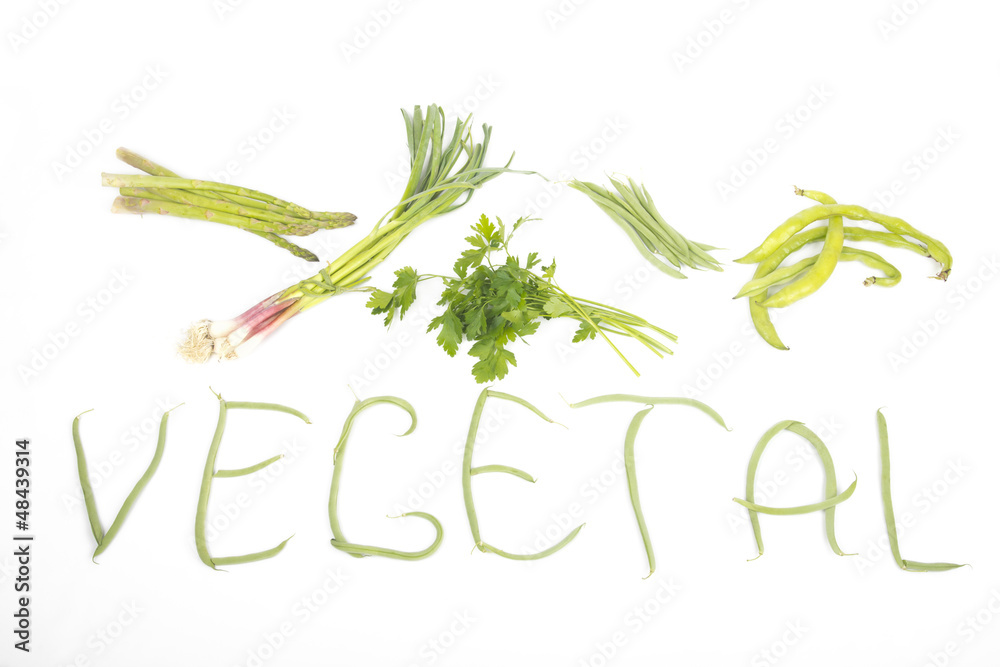 Obraz premium Vegetal