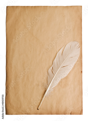 feather on a background of the empty form for the letter