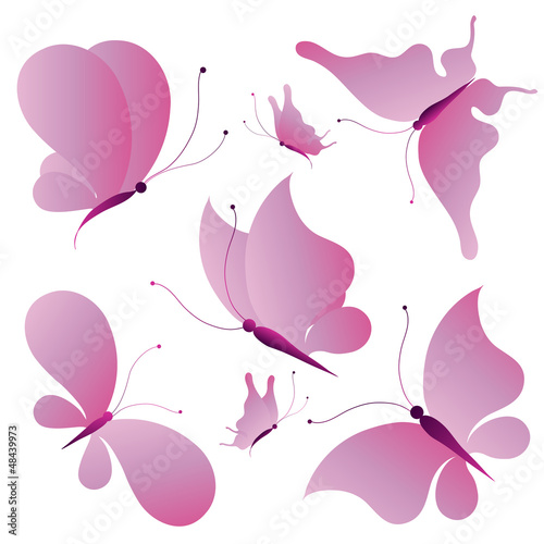 butterfly,butterflies vector