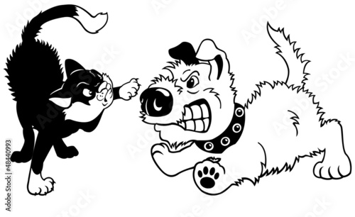 dog and cat fighting black white