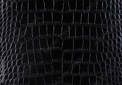 Texture of a crocodile leather