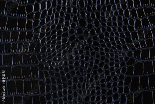 Texture of a crocodile leather