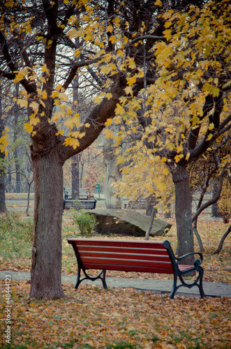 beautiful autumn landscape with nature