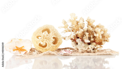 Obraz na płótnie Loofah isolated on white