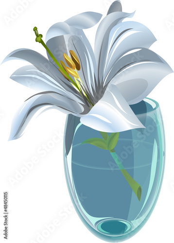 Fototapeta Naklejka Na Ścianę i Meble -  Lily in a vase