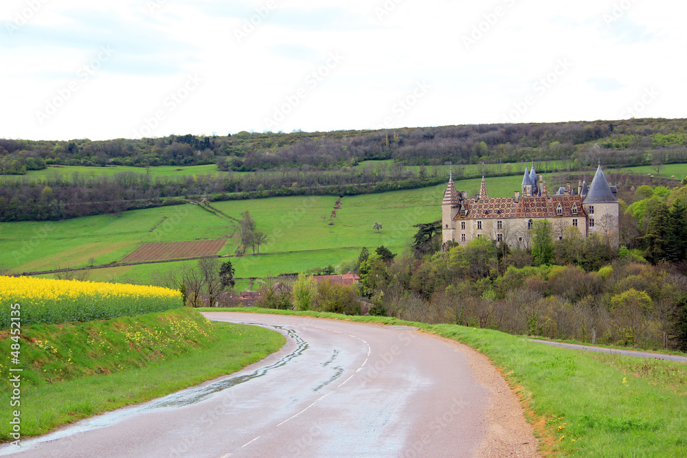 Naklejka premium Château de la Rochepot