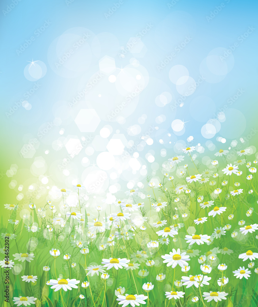 Fototapeta premium Vector of spring background