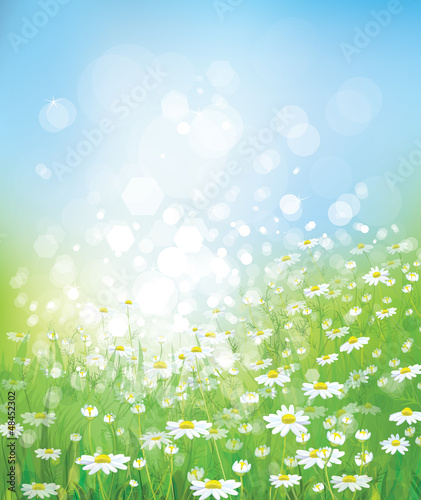 Vector of spring background