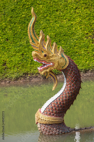 Naga guardian photo