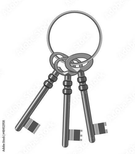 A bunch of old keys. Vector Illustration © Peter Jurik