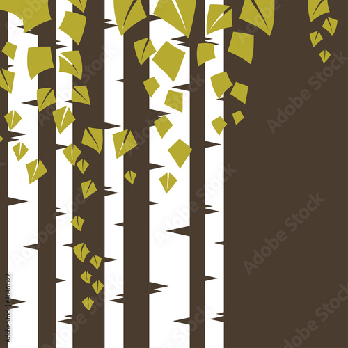 Background with birch branches.
