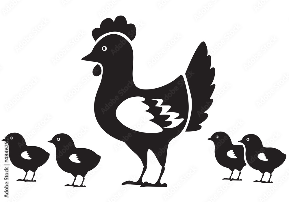 Fototapeta premium Hen with chicks