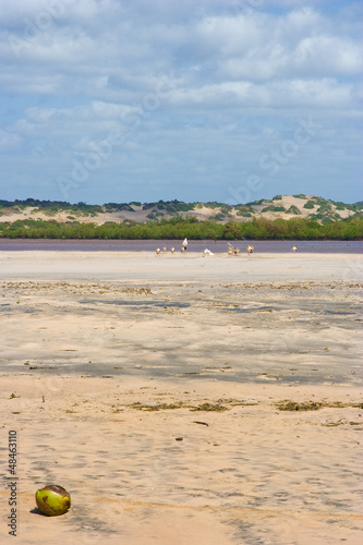 Spiaggia del Kenya