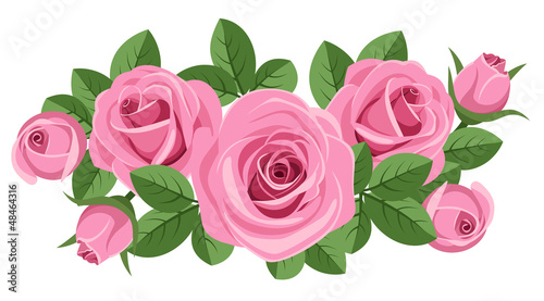 Pink roses with leaves on white. Vector illustration.