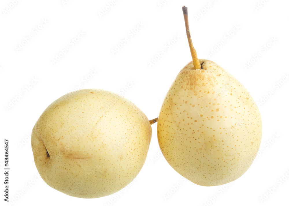 fresh nashi pear on a white background fresh nashi pear on a white background