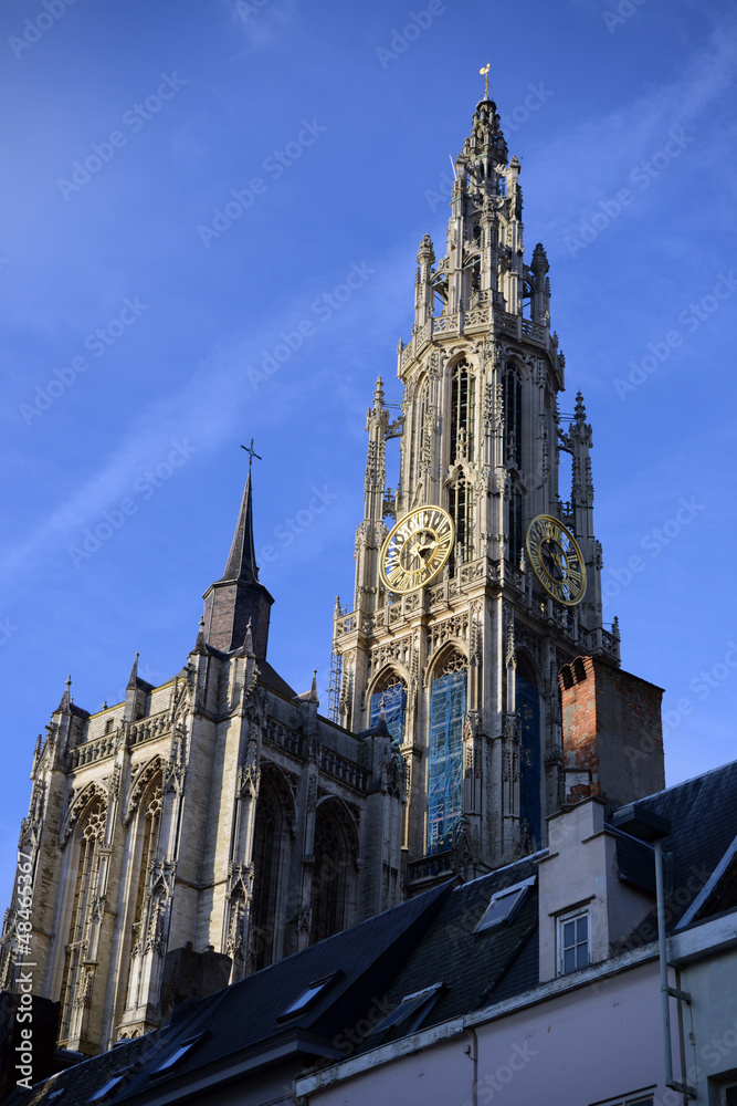 Fototapeta premium Antwerp Cathedral