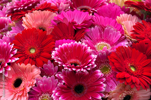 Beautiful bouquet of purple, red and pink colors.