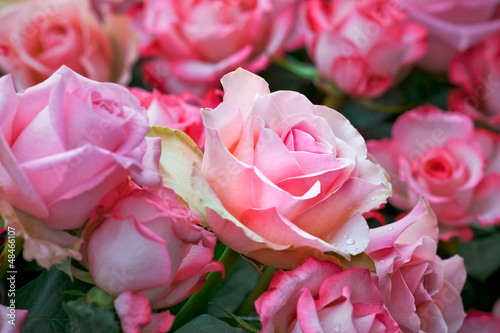 Beautiful bouquet of pink roses.