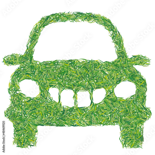 auto d'erba