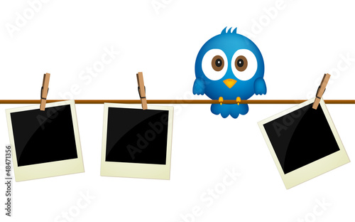 Three blank photos hanging on rope with blue bird sitting betwee photo