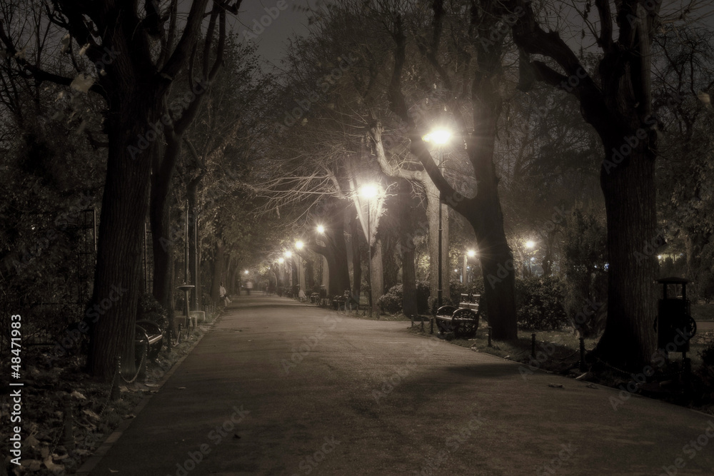 Park alley by night