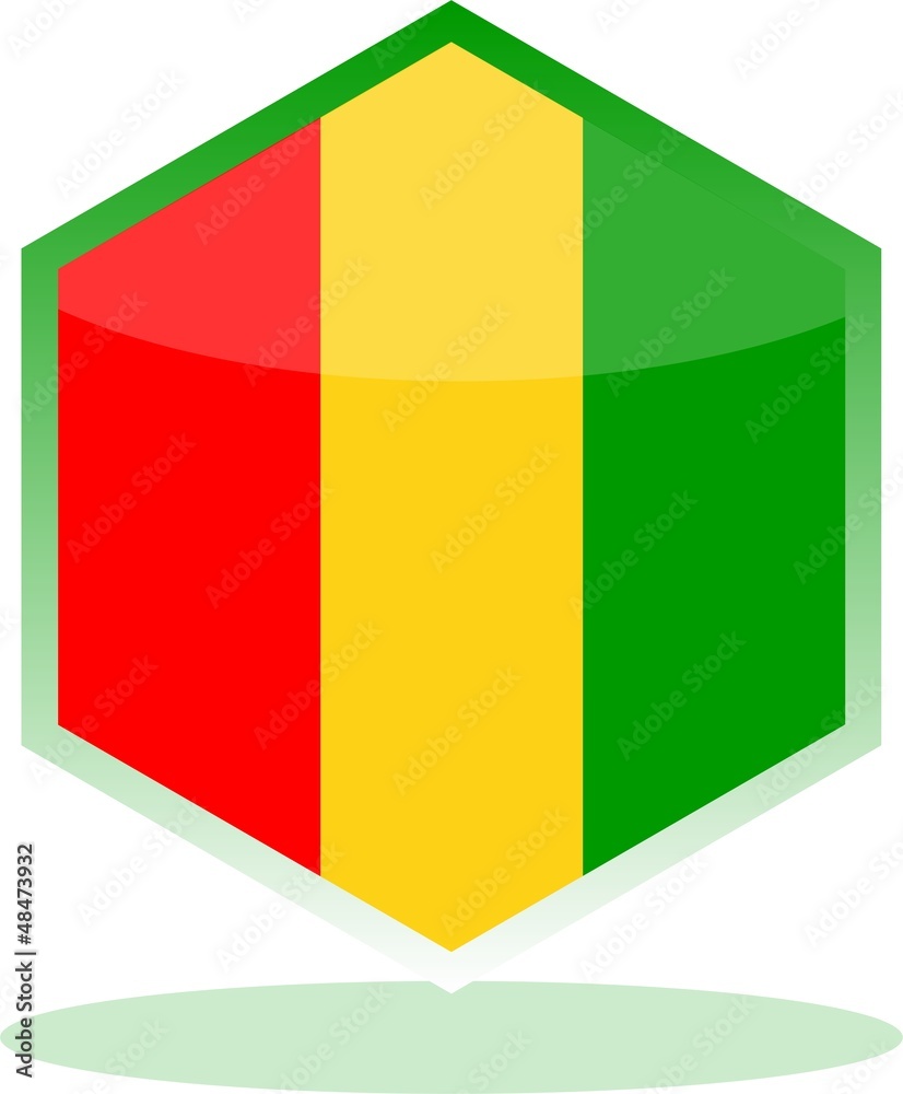 Fototapeta premium flag of guinea