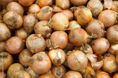 Fototapeta Naklejka Na Ścianę i Meble -  close up onion