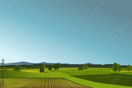 Rural landscape with geen fields