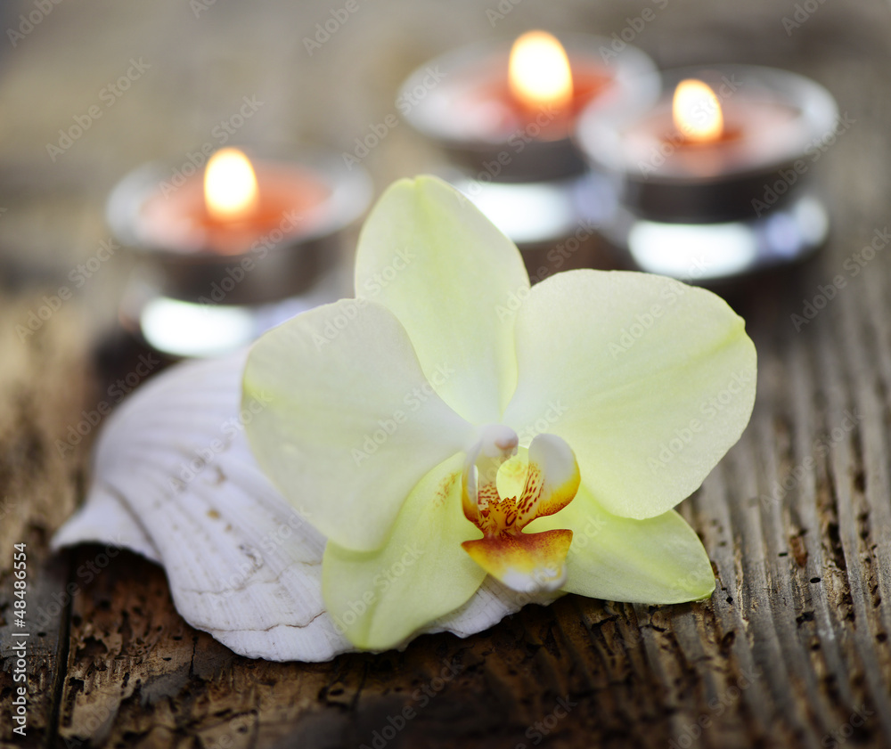 Blume, Kerzen Blume, Kerzen