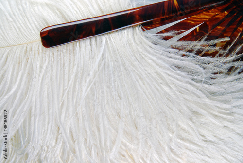 Old fan with ostrich feathers and bakelite handle