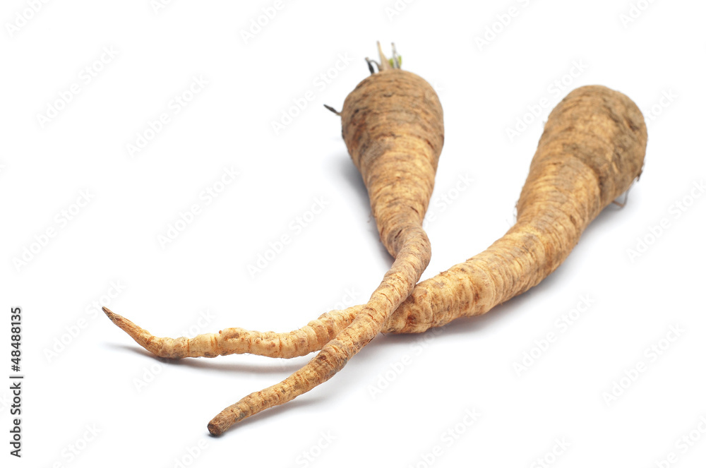 Fototapeta premium parsley