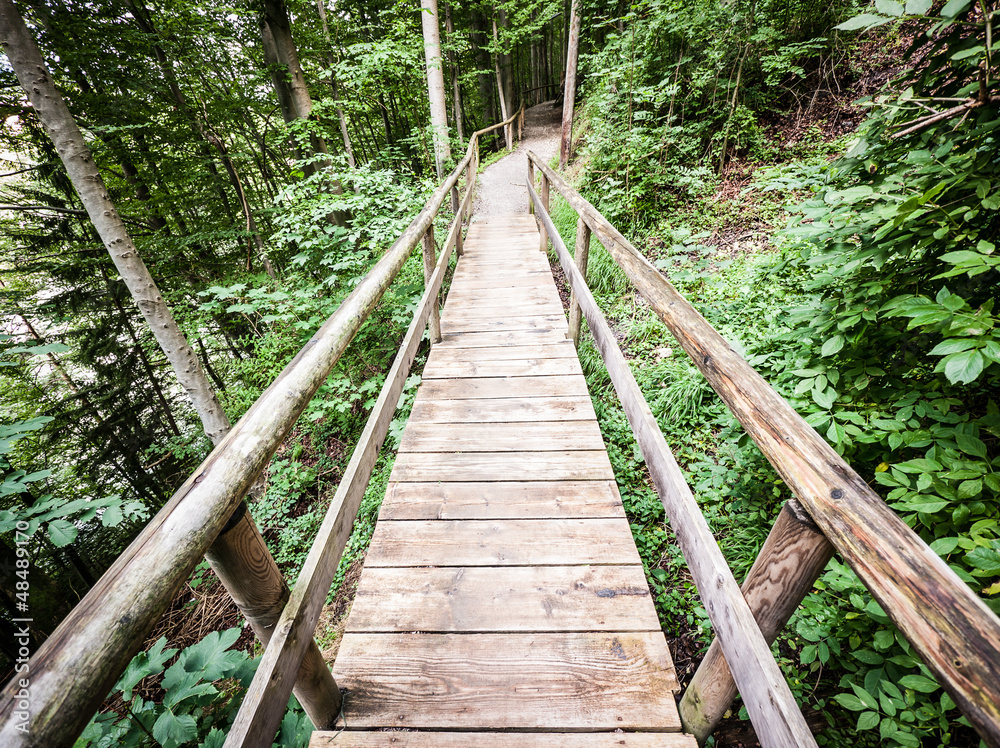 old footbridge old footbridge