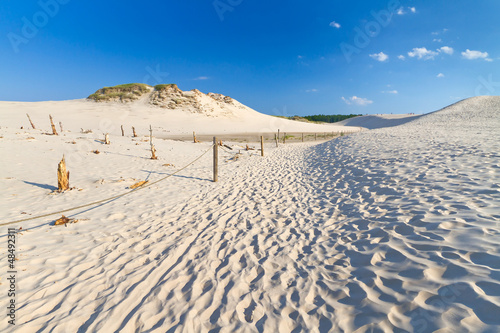Moving dunes park near Baltic Sea in Leba, Poland