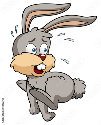Illustration of bunny rabbit cartoon