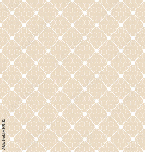 lace dotted bridal white veil