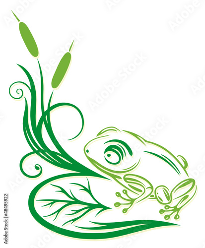 Schilf, Gräser, Frosch, filigran, floral, Ranke, frog