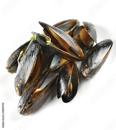 Mussels