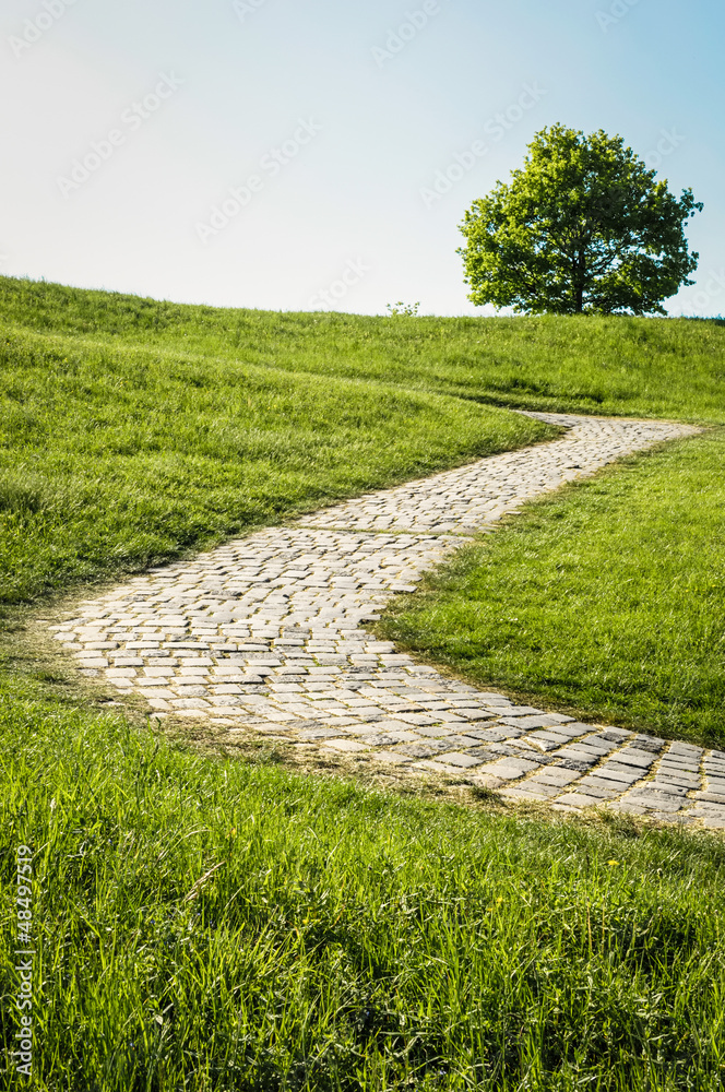 Obraz premium footpath