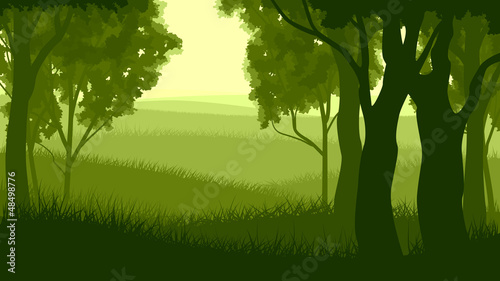 Horizontal illustration within forest.