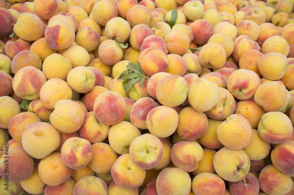 peaches peaches