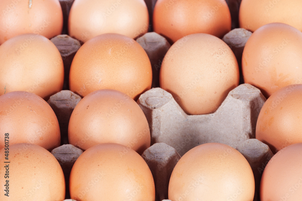 brown eggs in a packing brown eggs in a packing