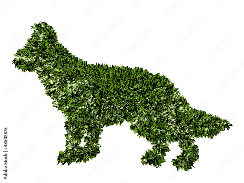 Cane agricoltura biologica, verde, ecologia, allevamento