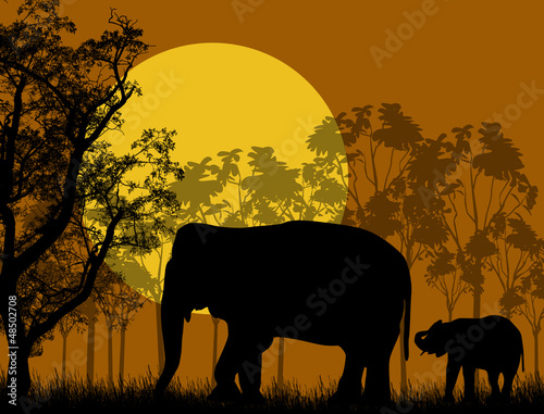 Elephant family in wild african landscape