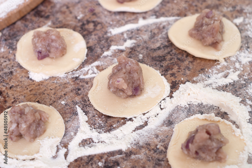 meat dumplings meat dumplings