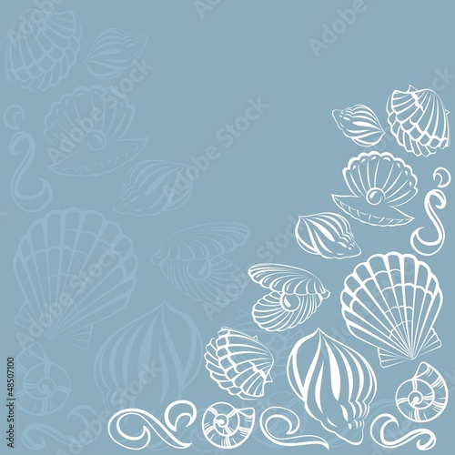 Seashell card
