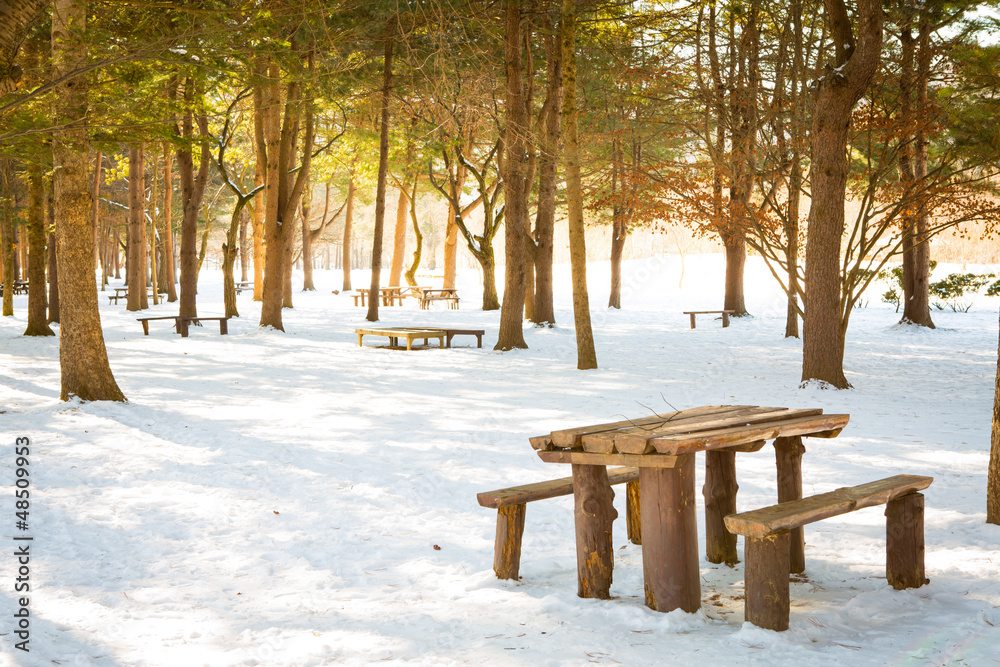 Wooden table and chairs in snow