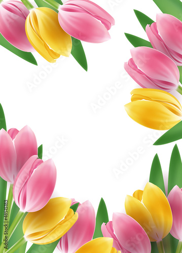 Fototapeta Naklejka Na Ścianę i Meble -  Tulips design template or background