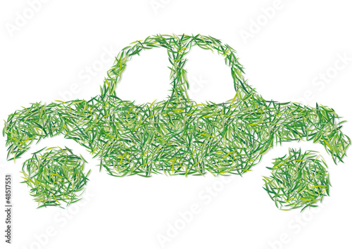 auto d'erba
