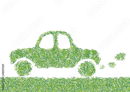auto d'erba