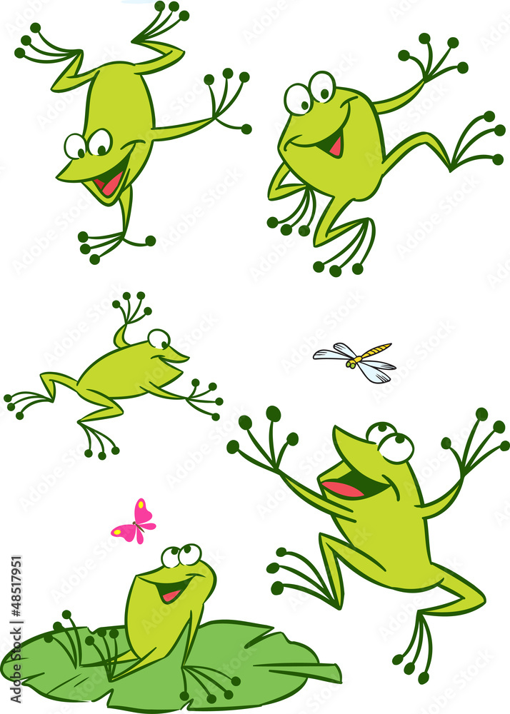 Fototapeta premium few frogs